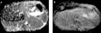Figure 2. a, b.