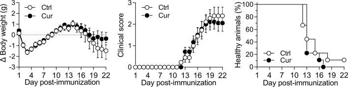 Figure 5