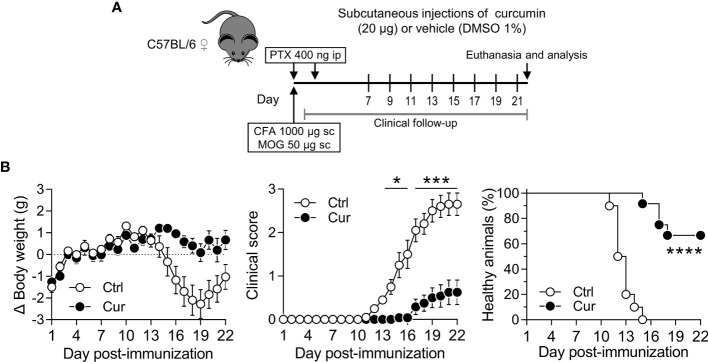 Figure 6