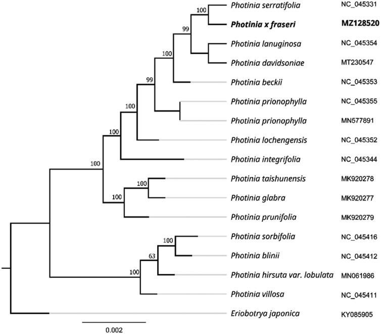 Figure 1.