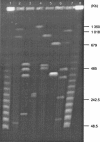 FIG. 2.