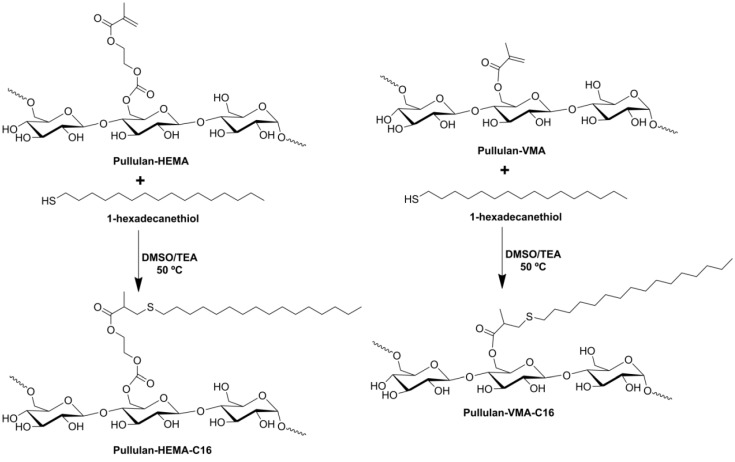 Scheme I