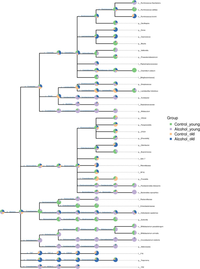 Figure 6