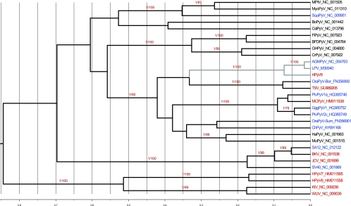 Fig. 2.