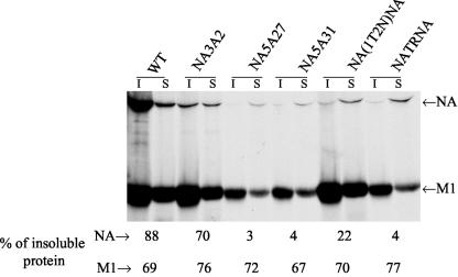 FIG. 8.