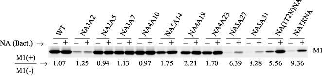 FIG. 5.