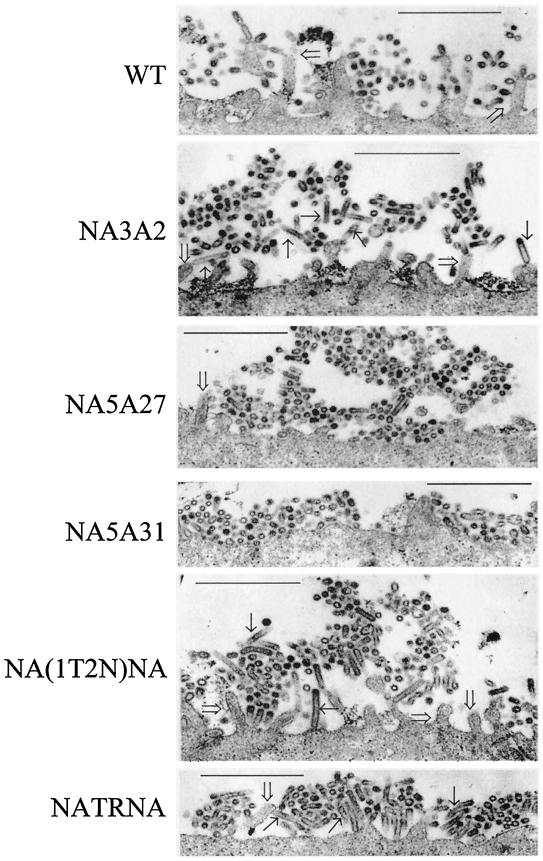 FIG. 9.