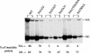 FIG. 8.