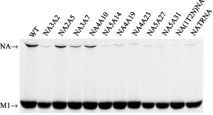 FIG. 6.