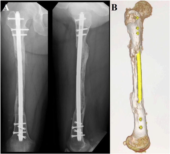 Fig. 5