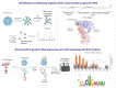 Graphical Abstract