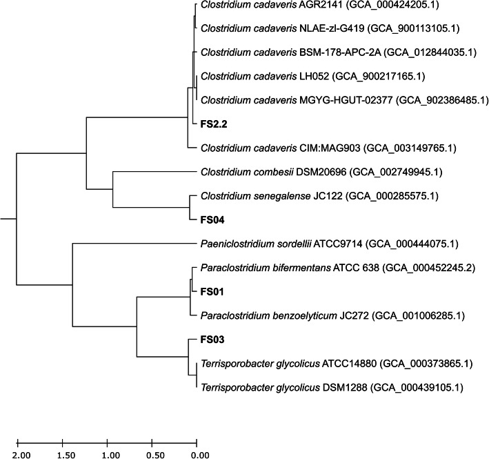 Fig. 3