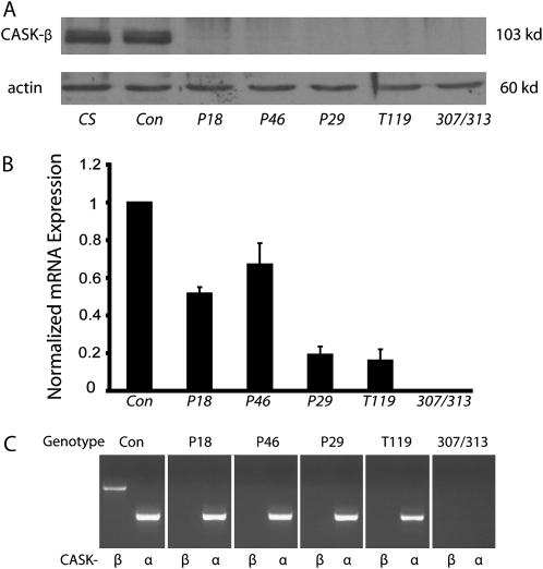 Figure 1.—