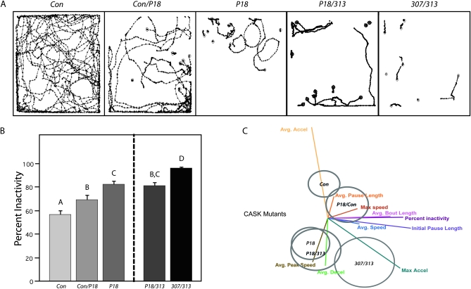 Figure 4.—