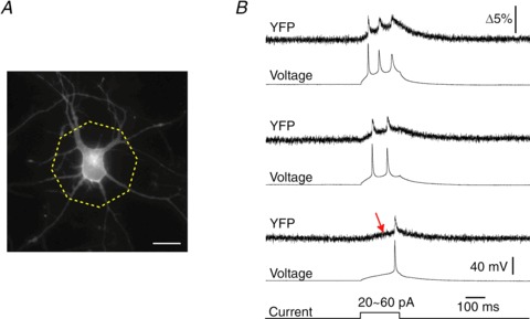 Figure 6