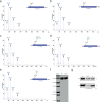 Extended Data Fig. 2