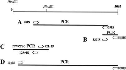 FIG. 2.