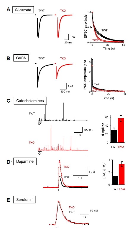 Fig. 2.