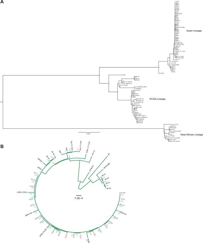 Fig 1