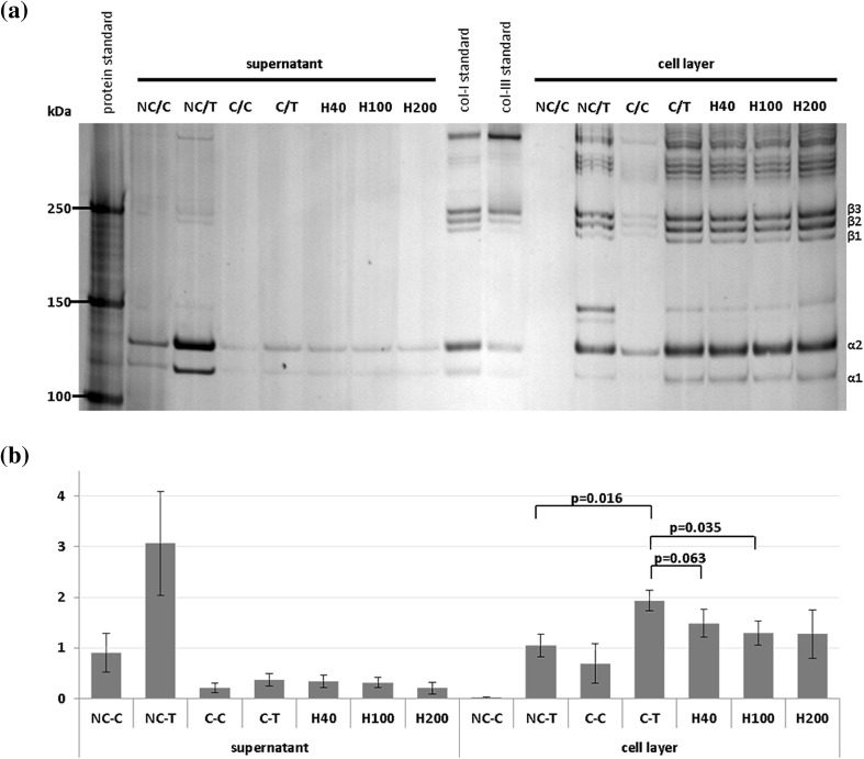 Fig. 1 