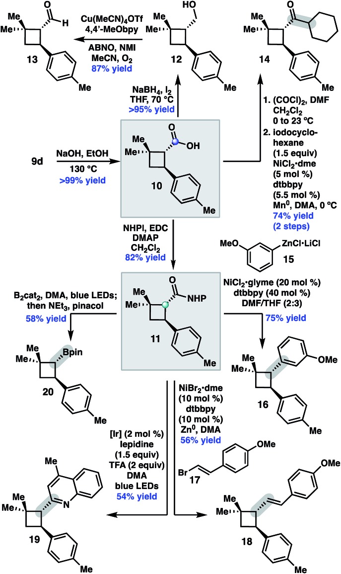 Scheme 3