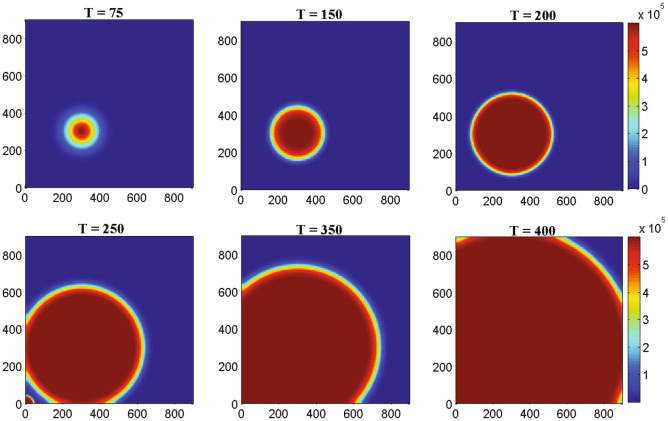 Figure 7