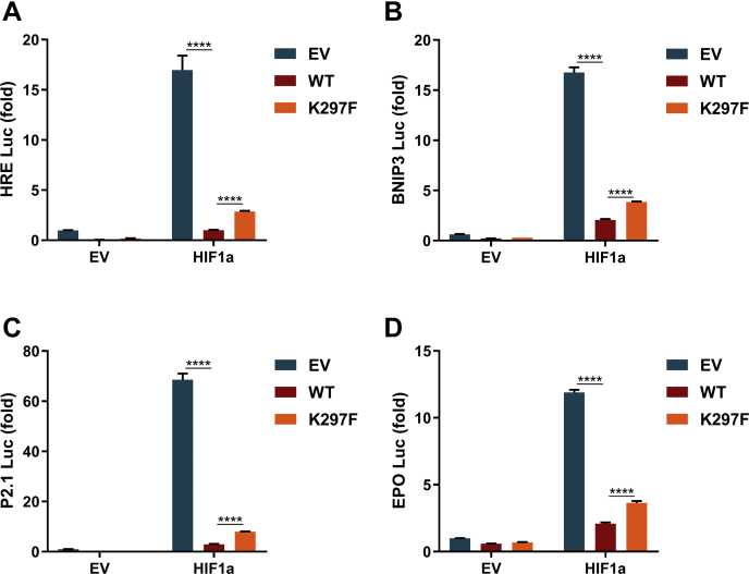 Figure 5