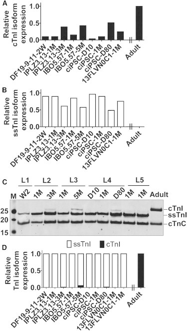 Figure 3