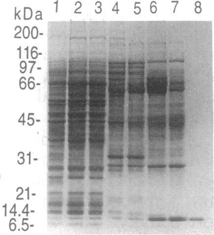 graphic file with name pnas01143-0559-a.jpg