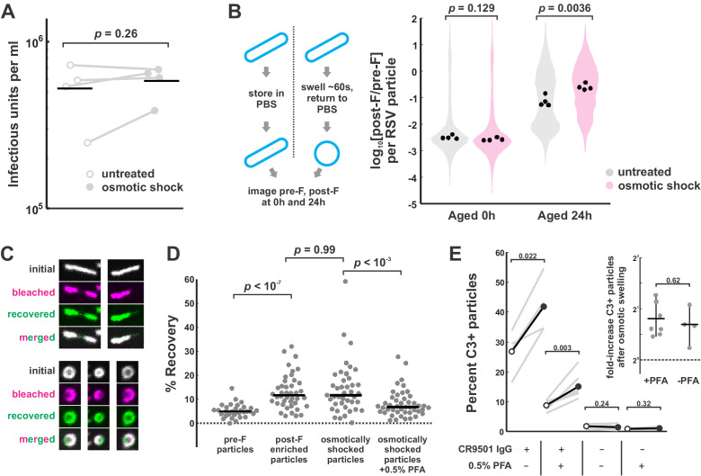 Figure 6—figure supplement 1.