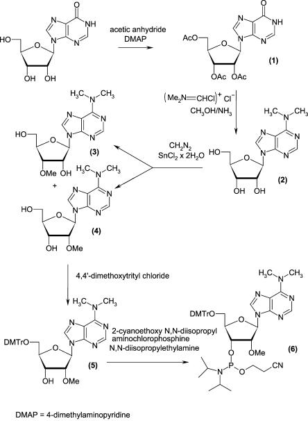 FIGURE 1.