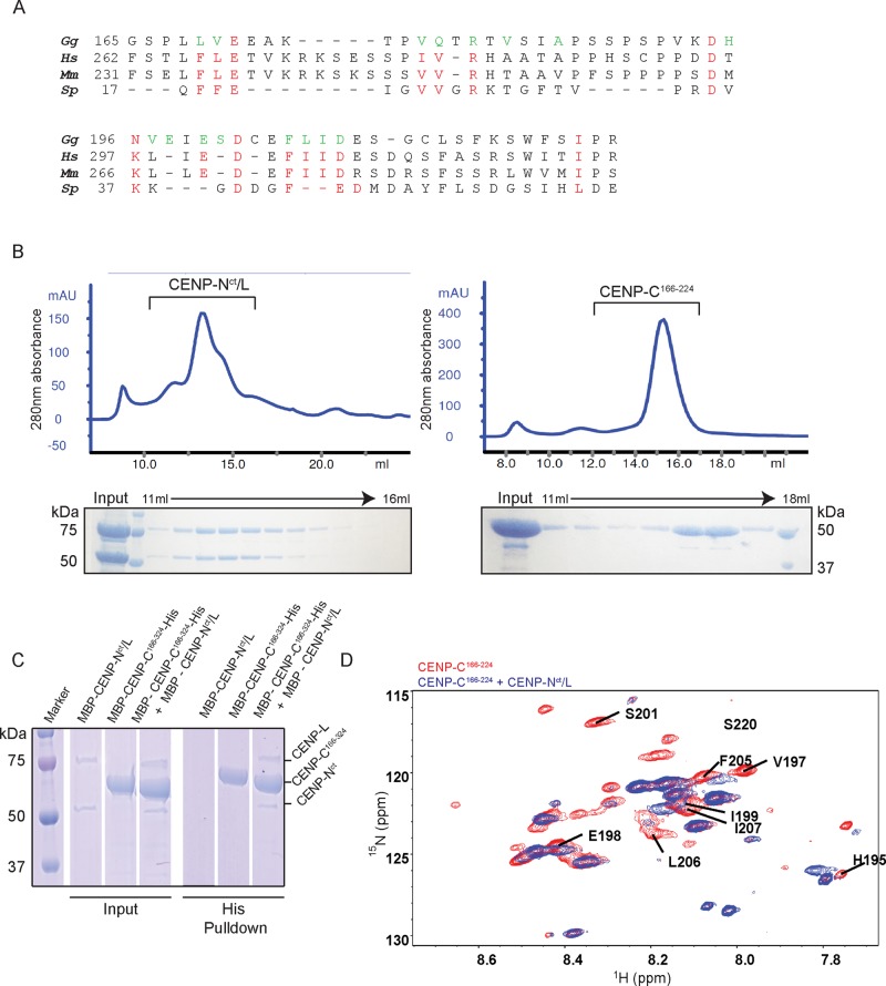 FIGURE 3: