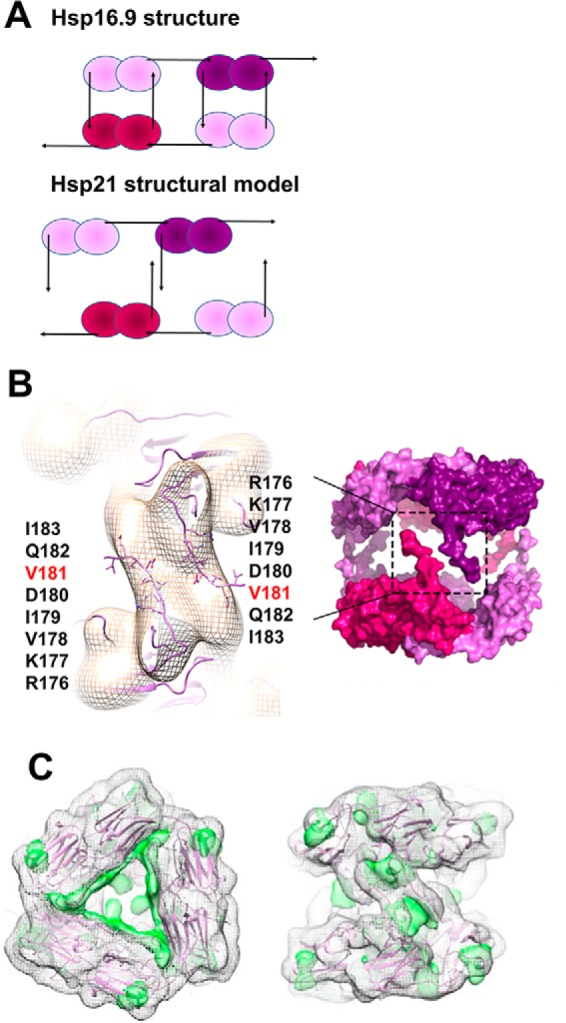 Figure 4.