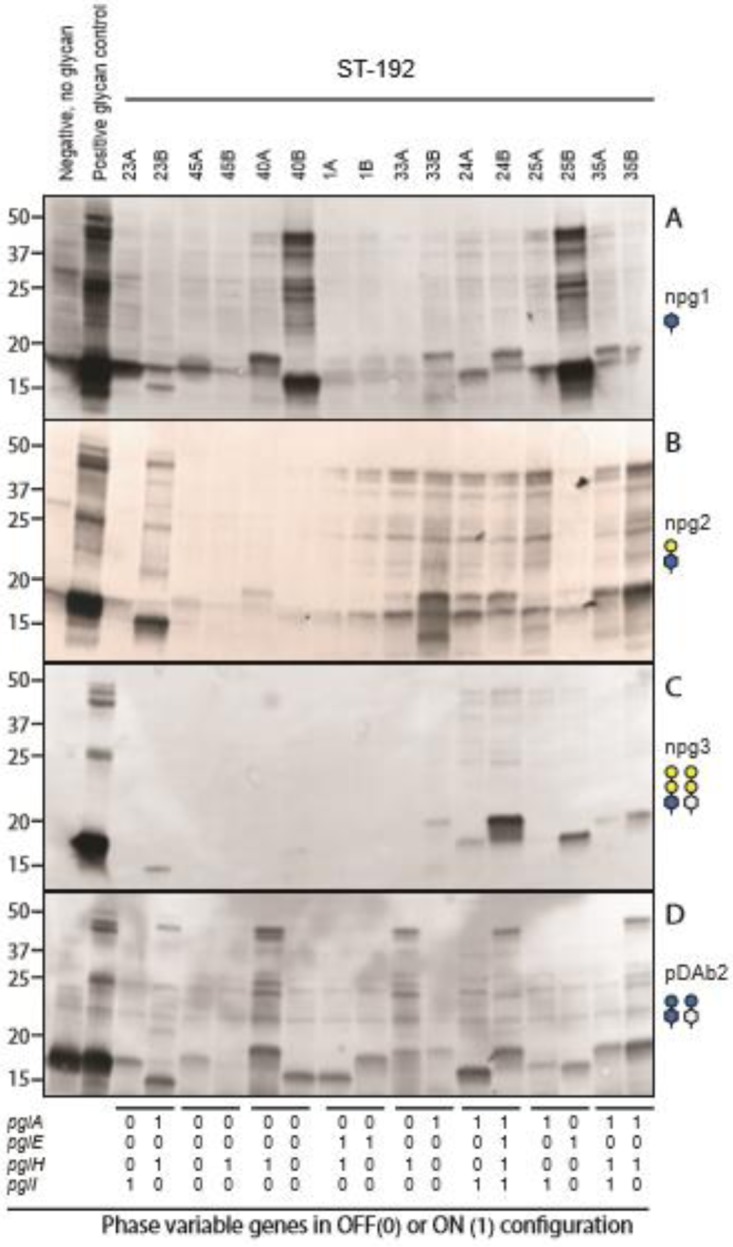 FIG 5