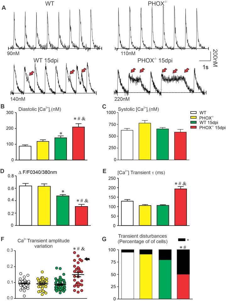 Fig 6