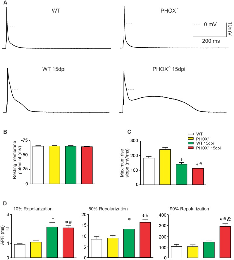 Fig 3