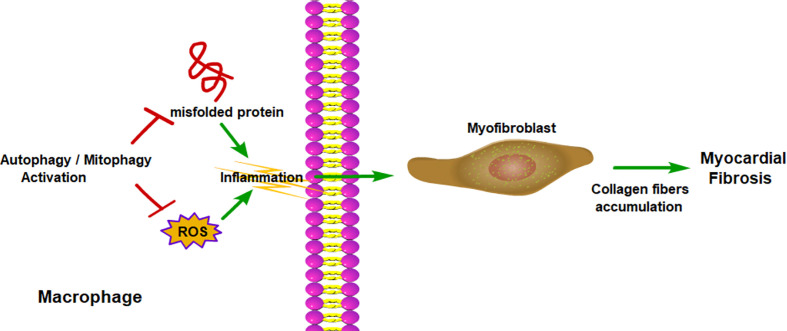 Figure 5