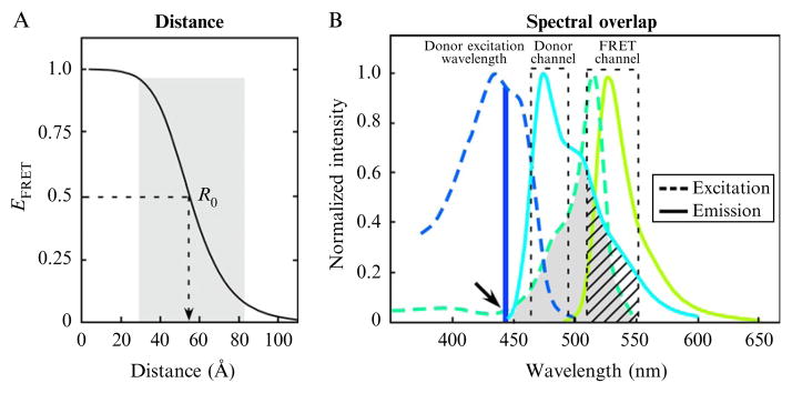 Figure 19.1
