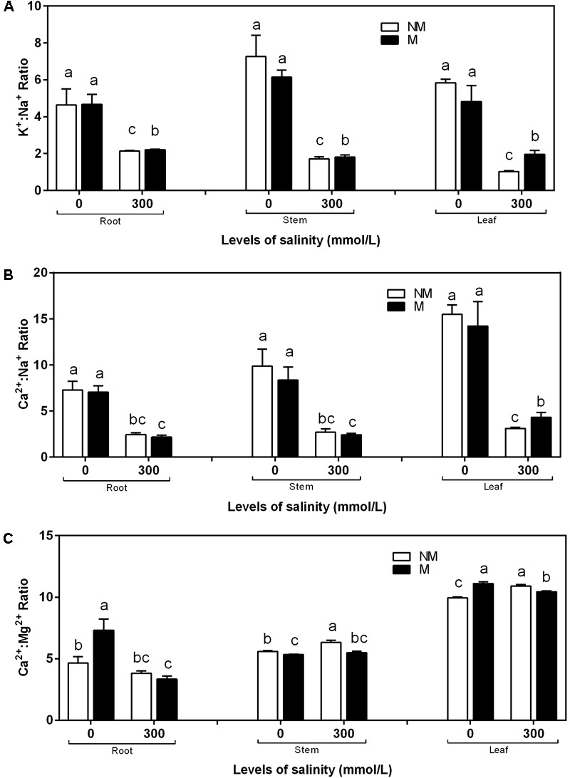 FIGURE 4