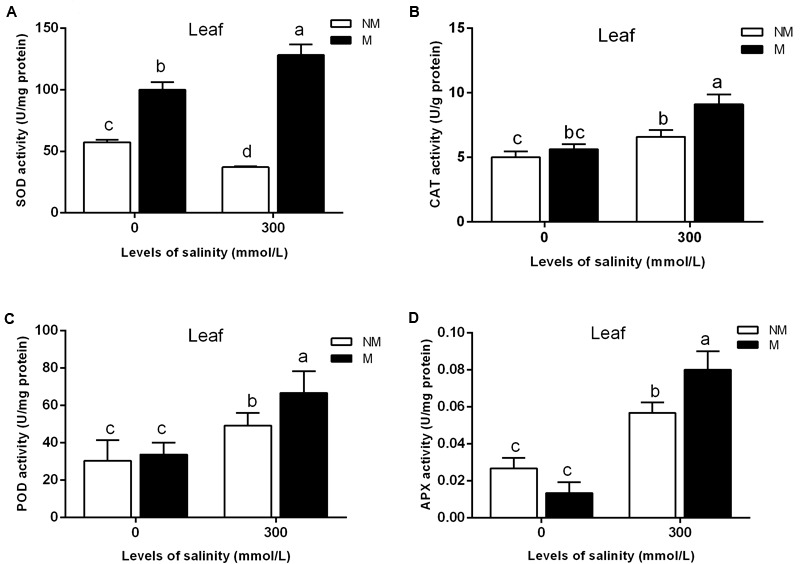 FIGURE 2