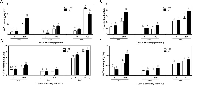 FIGURE 3