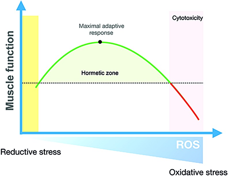 FIG. 10.