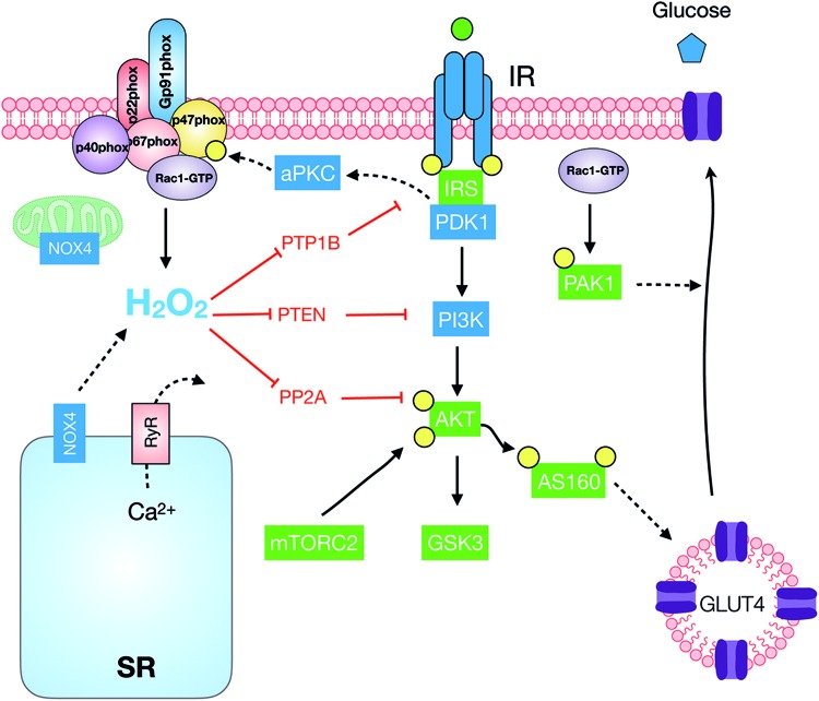 FIG. 12.