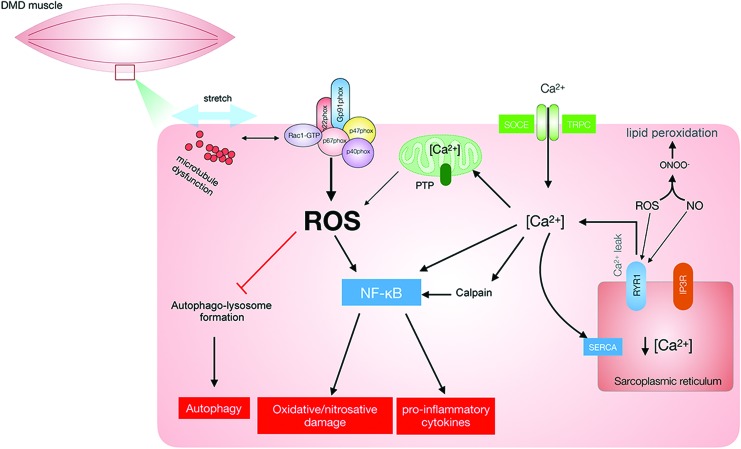 FIG. 15.