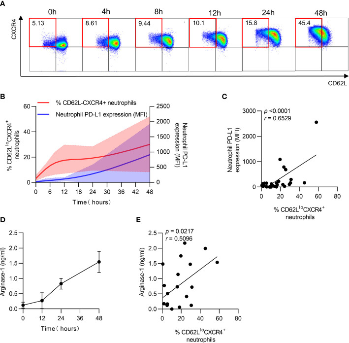 Figure 4