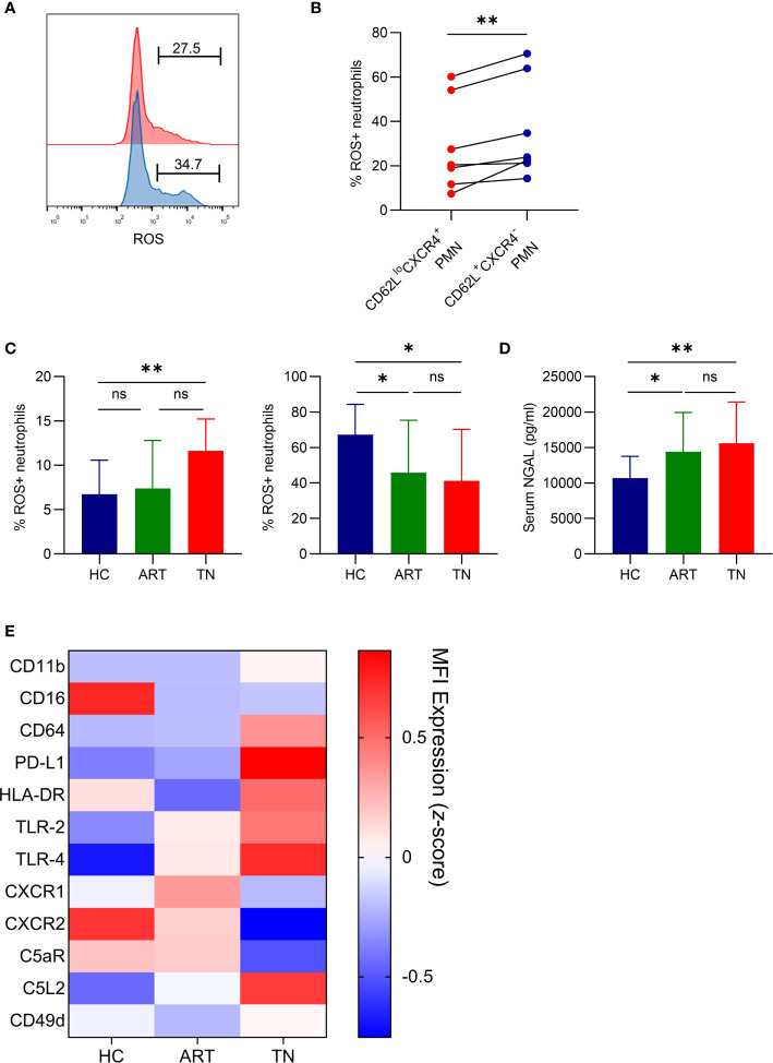 Figure 2