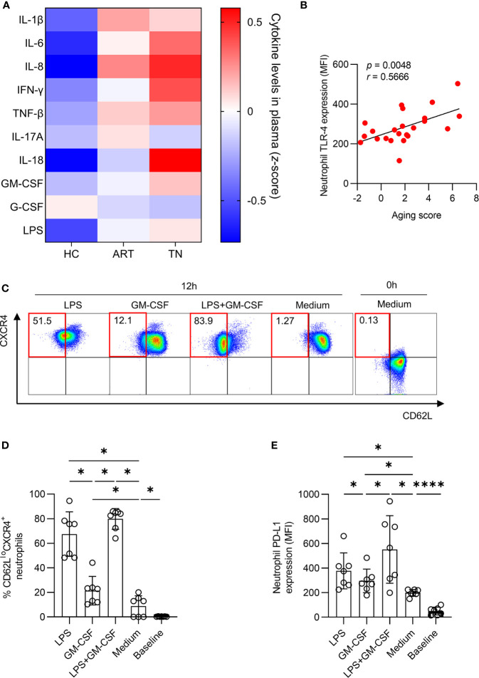 Figure 6