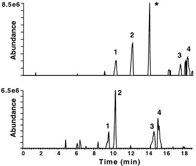 FIG. 2.