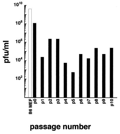 FIG. 5.