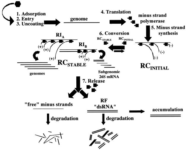 FIG. 6.